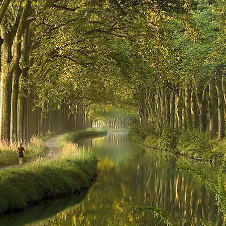 Daire Cosy - Parking - Wifi *