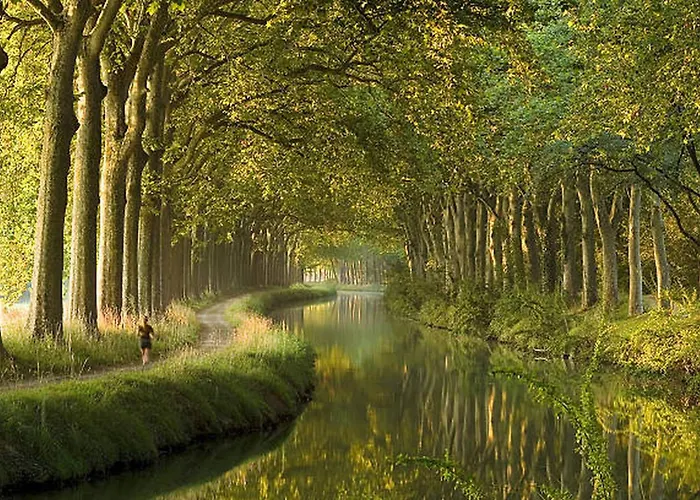 Daire Cosy - Parking - Wifi *